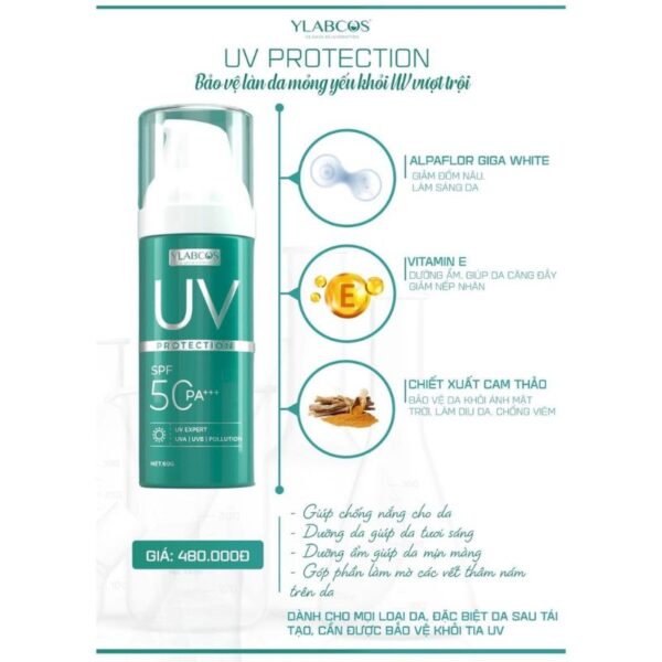 Cách sử dụng Uv Protection